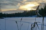Самое верное средство для восстановления здоровья и молодости - это «Солнечные д (4 фотографии)